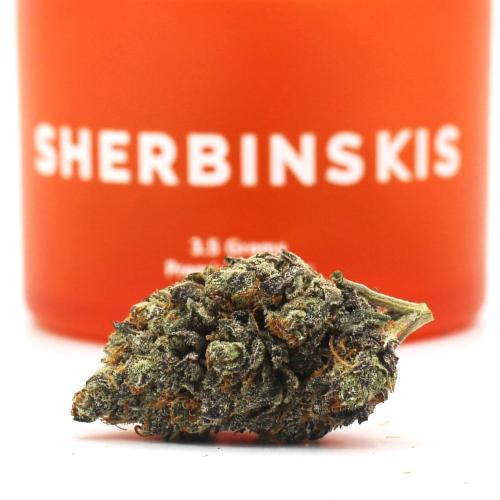 Pink Panties Strain Review That You Can Use │VICESNOB
