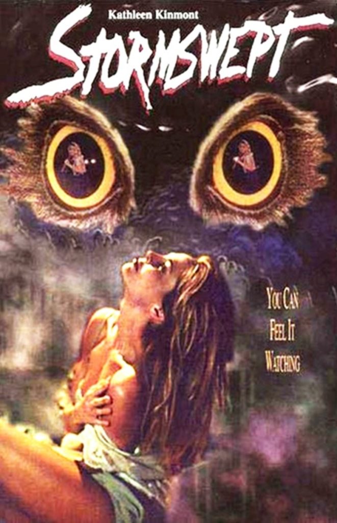 The movie poster for "Stormswept" (1995). Giant, menacing owl eyes stare down at a frightened woman, making it one of the intriguing and best movies to watch on Halloween. The tagline reads, "You Can Feel It Watching."