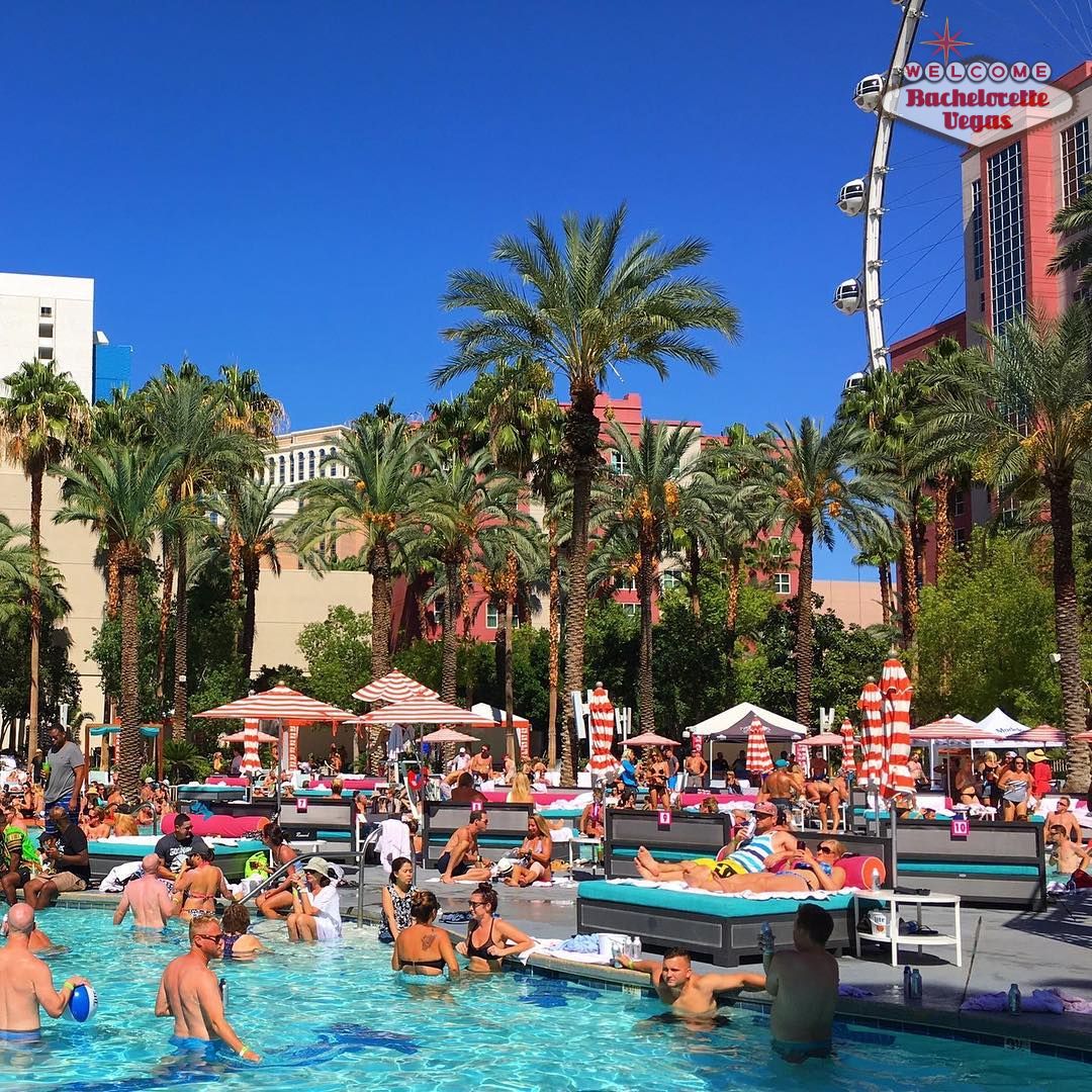 Flamingo Las Vegas Pool Party | Topless Pool 2025 | VICESNOB