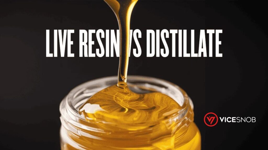 Live Resin vs Distillate: Which Gets You Higher? │ VICESNOB