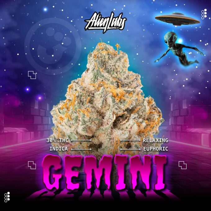 a bright green bud of gemini weed strain with the words gemini written below it in pink with a cosmic background and an alien floating below a spacecraft