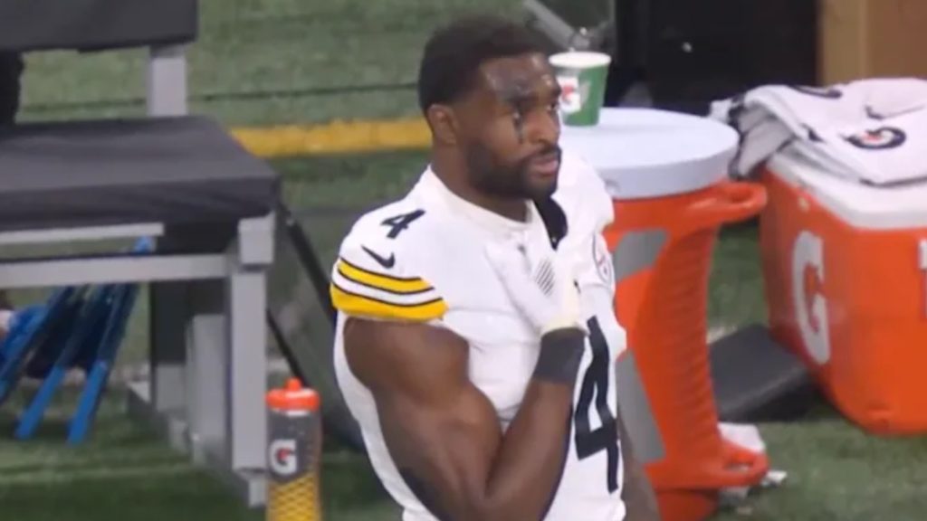 A wide shot from a stadium sideline showing Pittsburgh Steelers wide receiver DK Metcalf in a heated confrontation with a Detroit Lions fan. Metcalf, wearing his white and yellow Steelers jersey, is leaning toward the stands, appearing to reach out toward a fan in a bright blue wig.
