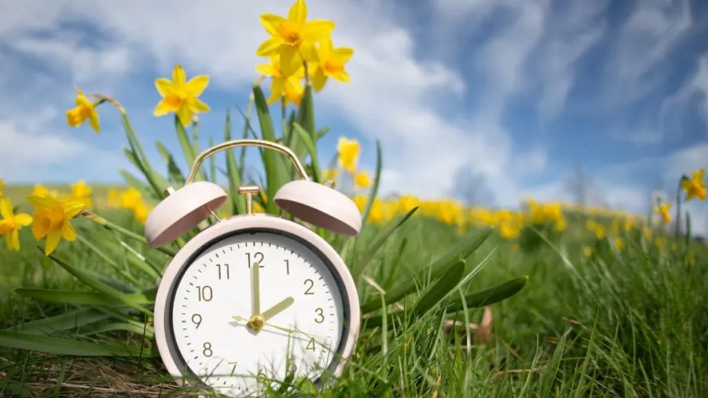 A small, pink vintage-style alarm clock sits in lush green grass among bright yellow daffodils. The clock face is set just past 2:00, symbolizing the spring forward shift for Daylight Savings 2026 under a bright blue sky with wispy clouds.